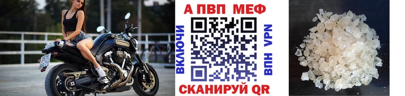 Альфа ПВП СК  Невель 