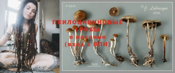 прущий лед Елизово