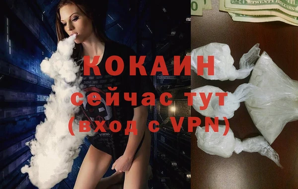 прущие крисы Ельня